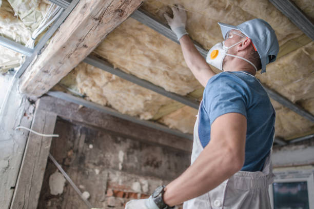 Best Specialized Insulation Services in , NC